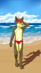  anthro band-aid bandage beach bulge canid canine canis clothed clothing domestic_dog hi_res male mammal sand scar sceptile_(artist) sea seaside solo speedo swimwear topless water young 