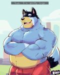  anthro australian_cattle_dog bandit_heeler black_body black_fur blue_body blue_fur bluey_(series) bulge canid canine canis cattledog clothing dialogue domestic_dog fur herding_dog hi_res kofu_grizzly_chubby male mammal multicolored_body multicolored_fur musclegut muscular muscular_male pastoral_dog simple_background smile solo tail tail_tuft text tuft underwear 