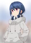  1girl blue_hair blurry blurry_background hands_in_pockets hood hoodie kayabakoro purple_eyes scarf shima_rin short_hair solo upper_body yurucamp 