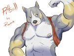  canid canine canis clothed clothing domestic_dog flexing fur gloves_(marking) male mammal markings nipples pecs pit_bull pointy_ears simple_background snout solo topless white_background xxringoxx 
