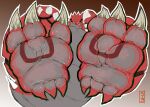  2017 3_fingers 3_toes absurd_res ambiguous_gender barefoot black_sclera claws countershading digital_media_(artwork) feet feral fingers foot_fetish foot_focus generation_3_pokemon gradient_background grey_body grey_countershading groudon heel_claw hi_res legendary_pokemon looking_at_viewer nintendo pinkgirlpen pokemon pokemon_(species) red_body sharp_teeth signature simple_background soles solo spread_toes st3ph3n teeth toe_claws toes tongue tongue_out wide_feet yellow_eyes 