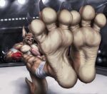  3_toes abs absurd_res allandox anthro bandage biceps big_ears biped bodily_fluids claws clenched_teeth countershade_feet countershade_tail countershade_torso countershading erection feet fighting_ring fist foot_fetish foot_focus genital_fluids genitals hi_res humanoid_genitalia humanoid_penis kangaroo kick leaking_precum macropod male mammal marsupial muscular muscular_anthro muscular_male muscular_thighs pecs penis pink_penis precum solo tail teeth toe_claws toes wrinkled_feet 