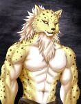  2022 abs absurd_res anthro belt biceps black_nose bottomwear chibikoma clothed clothing digital_drawing_(artwork) digital_media_(artwork) dragon_quest ear_piercing ear_ring felid fur goresby-purrvis hair half-length_portrait hi_res leopard male mammal multicolored_body multicolored_fur muscular muscular_anthro muscular_male neck_tuft orange_eyes pantherine pecs piercing portrait ring_piercing solo spots spotted_body spotted_fur square_enix topless topless_anthro topless_male tuft two_tone_body two_tone_fur white_body white_fur white_hair yellow_body yellow_fur 