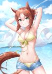  1girl absurdres animal_ears armpits arms_behind_head arms_up bangs bare_shoulders bikini bikini_under_clothes blue_sky blush breasts brown_hair cleavage closed_mouth cloud clover_hair_ornament collarbone commentary commentary_request cowboy_shot day denim denim_shorts fine_motion_(umamusume) front-tie_bikini_top front-tie_top green_eyes hair_between_eyes hair_bun hair_ornament hair_ribbon highres horse_ears horse_girl horse_tail jacket jacket_removed looking_at_viewer medium_breasts multicolored_hair navel no_shirt ocean open_fly outdoors radoremo revision ribbon see-through see-through_jacket short_shorts shorts sidelocks single_hair_bun sky smile solo standing stomach swimsuit tail two-tone_hair umamusume white_hair yellow_bikini 