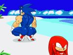  2021 animated anthro beach big_butt big_muscles blue_body blue_butt bodily_fluids broly_culo butt butt_focus clothing crouching duo echidna eulipotyphlan footwear gloves green_eyes grin handwear hedgehog jackofak knuckles_the_echidna looking_back male mammal meme monotreme mostly_nude muscular muscular_anthro muscular_male outside parody red_body red_clothing red_footwear red_shoes sand seaside sega shoes smile sonic_the_hedgehog sonic_the_hedgehog_(series) spread_legs spreading sweat teeth water white_clothing white_gloves white_handwear 