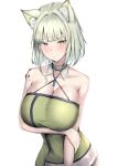  1girl absurdres animal_ear_fluff animal_ears arknights arm_under_breasts bare_shoulders blush breasts cat_ears cleavage closed_mouth collarbone dress green_dress grey_hair hair_intakes halter_dress halterneck highres kal&#039;tsit_(arknights) large_breasts looking_at_viewer oripathy_lesion_(arknights) poni_(poni_arknights) short_hair simple_background sleeveless sleeveless_dress solo upper_body white_background yellow_eyes 