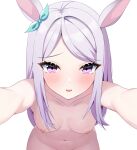  1girl absurdres animal_ears blush breasts collarbone hair_ornament highres horse_ears horse_girl looking_at_viewer louche mejiro_mcqueen_(umamusume) navel nude open_mouth paid_reward_available petite pov purple_eyes purple_hair reaching_towards_viewer simple_background small_breasts solo umamusume white_background 