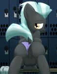  2016 absurd_res anus balls blue_hair blue_tail bodily_fluids bulge clothed clothing clothing_aside crossdressing digital_media_(artwork) dock duo equid equine feral friendship_is_magic frown genitals grey_body hair hasbro hi_res locker_room looking_back male mammal my_little_pony panties panties_aside pegasus perineum presenting purple_clothing purple_panties purple_underwear quadruped raised_tail starry5643 sweat sweaty_balls sweaty_genitalia tail thunderlane_(mlp) towel underwear underwear_aside wings yellow_eyes 