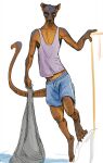  anthro black_eyes bottomwear brown_body brown_fur clothed clothing countershading digital_media_(artwork) euplerid fishing_net fossa fur hi_res long_tail looking_at_viewer male mammal net outside scuotivento shirt shorts simple_background solo tail tank_top topwear water 