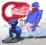  absurd_res anthro athletic athletic_anthro athletic_male avian beak big_butt bird blue_body blue_feathers blush bodily_fluids bottom_heavy butt butt_grab cum cum_in_pussy cum_in_uterus cum_inside cum_on_back cum_on_butt duo erection eye_roll falco_lombardi feathers female flat_chested from_behind_position genital_fluids genitals hand_on_butt hi_res huge_butt internal kerchief kerchief_only looking_pleasured lying male male/female mostly_nude neckerchief neckerchief_only nintendo on_front open_beak open_mouth pear-shaped_figure penetration penile penile_penetration penis penis_in_pussy scuted_arms scutes sex shmny speed_bump_position star_fox tongue tongue_out uterus vaginal vaginal_penetration wide_hips 