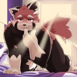  2023 absurd_res ailurid anthro bed blush dokyudokyu1 furniture hi_res kemono male mammal moobs nipples overweight overweight_male red_panda solo 