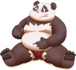  2023 anthro bear belly big_belly bulge clothing giant_panda kemono male mammal meg_hoi moobs navel nipples overweight overweight_male sitting solo tongue tongue_out underwear 