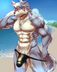  2023 abs anthro beach big_penis bulge canid canine canis clothing detailed_bulge dog_tags domestic_dog fur genitals grey_body grey_fur grey_hair hair hi_res humukeaka1 husky kouya_(morenatsu) male mammal marbles_(pixiv) morenatsu mostly_nude multicolored_body multicolored_fur muscular muscular_anthro muscular_male navel nordic_sled_dog pecs penis sand seaside shirtless solo speedo speedo_down speedo_pull spitz swimwear water white_body white_fur 