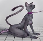  anthro breasts collar domestic_cat felid feline felis female fur hi_res klemens leash mammal nipples slave solo 