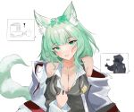  1girl 1other absurdres animal_ear_fluff animal_ears arknights bangs bare_shoulders breasts cat_ears cat_tail cleavage collarbone doctor_(arknights) english_commentary green_eyes green_hair harmonie_(arknights) highres large_breasts layton_(sanlayton) long_hair long_sleeves looking_at_viewer off_shoulder shirt simple_background smile tail thumbs_up upper_body white_background 