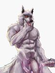  absurd_res anthro canid canine canis death_(puss_in_boots) dreamworks fur genitals grey_body grey_fur hi_res male mammal muscular muscular_male nipples pecs penis puffer_puff puss_in_boots_(film) puss_in_boots_the_last_wish simple_background solo weapon wolf 