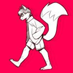  anthro bottomwear canid canine clothed clothing digital_media_(artwork) eyewear glasses golde hair hand_in_pocket hi_res jacket long_tail looking_at_viewer male mammal necktie on_ground pink_background pockets serious shorts simple_background sketch solo tail topwear walking 