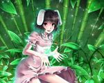  animal_ears bamboo bamboo_forest brown_hair bunny_ears clover forest four-leaf_clover gayprince green highres inaba_tewi magic nature open_hands outstretched_hand palms red_eyes short_hair solo tail touhou 