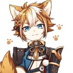  1boy absurdres animal_ears animal_hands armor blue_eyes brown_hair dog_boy dog_ears dog_tail genshin_impact gorou_(genshin_impact) hair_between_eyes highres japanese_clothes male_focus multicolored_hair pochimaru_(marumaru_wanwan) tail white_hair 