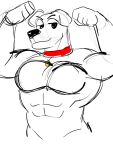  abs anthro bedroom_eyes biceps big_muscles brian_griffin canid canine canis collar digital_media_(artwork) domestic_dog family_guy flexing floppy_ears fur half-closed_eyes jammedvhs looking_at_viewer male mammal muscular muscular_anthro muscular_male narrowed_eyes nude pecs red_collar seductive simple_background sketch smile smiling_at_viewer solo standing white_background white_body white_fur 