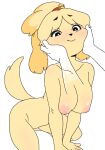  accessory animal_crossing anthro balloon_19 big_breasts blush breasts canid canine canis disembodied_hand domestic_dog face_squish female hair_accessory hair_tie hi_res holding_head isabelle_(animal_crossing) kneeling mammal nintendo nipples nude shih_tzu simple_background smile solo squish toy_dog white_background 