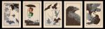  2022 absurd_res ambiguous_gender avian bird corvid corvus_(genus) crow domestic_cat felid feline felis feral fight flying group hi_res human jed_henry leaf mammal mokuhankan oscine outside passerine pedestrian_crossing plant print_(medium) thejedhenry tree umbrella 