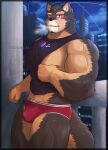  abs anthro biceps bodily_fluids brown_body brown_fur bulge canid canine canis clothing domestic_dog eyebrows fur hi_res lifewonders live_a_hero male mammal muscular muscular_anthro muscular_male nipples ortwin_rd outside pecs pubraseer solo sweat thick_eyebrows underwear 