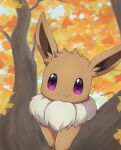  :3 absurdres animal_focus autumn_leaves closed_mouth commentary_request eevee fur_collar happy highres in_tree looking_at_viewer mochizuki_reiji no_humans outdoors partial_commentary pokemon pokemon_(creature) purple_eyes smile solo tree upper_body 