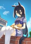  absurdres animal_ears animal_on_lap black_hair blush bow bowtie brick_wall cat cat_on_lap commentary earrings hair_between_eyes highres horse_ears horse_girl horse_tail jewelry long_hair manhattan_cafe_(umamusume) on_lap pleated_skirt puffy_short_sleeves puffy_sleeves purple_bow purple_bowtie purple_shirt purple_skirt sailor_collar school_uniform shirt short_sleeves sidelocks single_earring sitting skirt symbol-only_commentary tail thighhighs tracen_school_uniform umamusume watashinabe white_thighhighs yellow_eyes zettai_ryouiki 