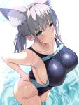  1girl absurdres animal_ear_fluff animal_ears ariso_kaoru ass bangs blue_archive blue_eyes blue_one-piece_swimsuit blush breasts closed_mouth collarbone cross_hair_ornament from_above grey_hair hair_ornament highres large_breasts long_hair looking_at_viewer one-piece_swimsuit shiroko_(blue_archive) shiroko_(swimsuit)_(blue_archive) sidelocks standing swimsuit taut_clothes taut_swimsuit wading wet 