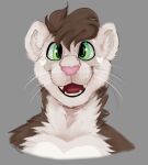  anthro brown_hair domestic_ferret fangs fluffy green_eyes hair kylie_(kyliebobile) male mammal mustelid musteline pink_nose smile solo sursiq teeth true_musteline weasel whiskers 