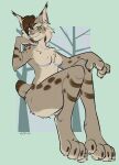  anthro canadian_lynx chibbums feet felid feline felis female lynx mammal nicole_(nicnak044) paws perspective pinup pose solo 