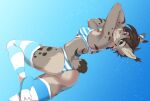  anthro bikini buffreyra canadian_lynx clothing collar felid feline felis female legwear lingerie lynx mammal nicole_(nicnak044) pinup pose solo stockings swimwear 
