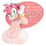  amy_rose anthro anthrofied big_breasts breasts clothing english_text eulipotyphlan exclamation_point female green_eyes hedgehog hi_res huge_breasts mammal ota_(artist) profanity question_mark sagging_breasts sega smile solo sonic_the_hedgehog_(series) text 
