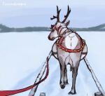  capreoline christmas deer female feral folvondusque hi_res holidays mammal pregnant reindeer sleigh snow solo 