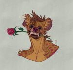  2023 anthro artist_logo brown_body brown_fur brown_hair bust_portrait dated fangs flower flower_in_mouth front_view fur glistening glistening_eyes hair hi_res hyena logo looking_at_viewer male mammal orange_body orange_fur plant portrait purple_nose purple_spots riorix rose_(flower) rose_in_mouth simple_background solo spots spotted_body spotted_fur teeth whiskers 