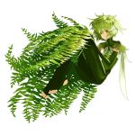  1other :o androgynous bangs brown_eyes detached_sleeves elbow_gloves floating full_body gloves green_hair green_wings hair_between_eyes highres knees_up leaf long_sleeves looking_at_viewer original plant simple_background solo toeless_legwear white_background wings zerg_(z79438659) 