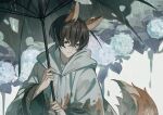  1boy absurdres animal_ears bishounen demian_(project_moon) ebf7l flower fox_boy fox_ears fox_tail highres holding holding_umbrella hood hoodie hydrangea limbus_company male_focus project_moon rain solo tail umbrella upper_body white_hoodie 