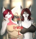 absurd_res anthro ballistic-cottontail big_ears breasts canid canine canis clothed clothing crop_top digital_media_(artwork) duo female female/female fennec fox grey_body hair hi_res mammal moiidesho red_hair shirt simple_background smile suki_(moiidesho) text topwear white_body