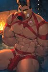 2:3 abs anthro areola balls biped brown_dog_(canyne_khai) canid canine canis canyne_khai domestic_dog eyebrows fire fireplace genitals hi_res male mammal muscular muscular_anthro muscular_male nipples pecs penis solo tail vein veiny_penis
