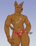  4:5 absurd_res anthro bulge canid canine canis clothing domestic_dog heckfrog hi_res lifeguard male mammal muscular nipple_piercing nipples one_eye_closed piercing solo speedo swimwear 