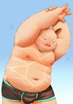 2024 anthro belly blue_background blush bulge clothing domestic_pig humanoid_hands kemono male mammal meg_hoi moobs navel nipples overweight overweight_male simple_background solo suid suina suntan sus_(pig) tan_line underwear