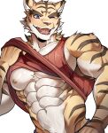 2024 abs anthro blue_bottomwear blue_clothing blue_eyes blush bottomwear brown_body brown_fur brown_stripes chung0_0 clothed clothing clothing_lift countershade_face countershade_hands countershade_torso countershading fangs felid fur head_tuft hi_res male mammal morenatsu multicolored_body multicolored_fur muscular muscular_anthro muscular_male navel nipples pantherine pink_nipples pink_nose red_clothing red_shirt red_tank_top red_topwear sharp_teeth shirt simple_background smile solo striped_body striped_fur stripes tan_body tan_countershading tan_fur tank_top tank_top_lift teeth tiger topwear topwear_lift torahiko_(morenatsu) tuft white_background yellow_body yellow_fur