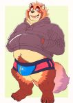 2024 anthro belly blush brown-body bulge canid canine clothing fat_amle hi_res hoodie kemono male mammal navel raccoon_dog ryuta-h solo tanuki topwear underwear