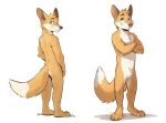 anthro butt canid canine crossed_arms fox looking_at_viewer looking_back looking_back_at_viewer male mammal model_sheet nude smile smiling_at_viewer smirk smirking_at_viewer