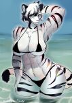 abs absurd_res anthro big_breasts bikini blue_eyes breasts clothed clothing felid female front_view fur hand_behind_head hi_res mammal muscular muscular_anthro muscular_female nonoka917 pantherine partially_clothed partially_submerged solo standing standing_in_water striped_body striped_fur stripes swimwear tiger white_body white_fur wide_hips
