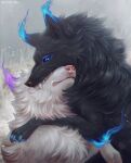  2023 ambiguous_gender black_body black_fur blue_eyes digital_media_(artwork) duo feral fur hi_res naiterion paws teeth white_body white_fur 