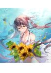  1girl absurdres air_bubble animal bare_shoulders bikini blush breasts brown_eyes brown_hair bubble cleavage collarbone fish flower highres holding long_hair miwabe_sakura original parted_lips scan small_breasts sunflower swimsuit twintails underwater 