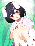  1girl animal_ears bamboo bamboo_forest black_hair carrot_necklace chikuzen1996 crossed_bangs dress floppy_ears forest frilled_sleeves frills from_below hands_on_own_knees highres holding holding_jewelry holding_necklace inaba_mob_(touhou) inaba_tewi jewelry looking_at_viewer medium_hair nature necklace open_mouth outdoors pink_dress puffy_short_sleeves puffy_sleeves rabbit rabbit_ears rabbit_girl red_eyes short_sleeves sidelocks squatting sunlight teeth touhou upper_teeth_only wavy_hair 