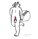  2023 animal_genitalia animal_penis anthro ball_tuft balls blep blush canid canine canine_penis chest_tuft cute_fangs ear_piercing embarrassed erection fox genitals hi_res male mammal markings notanexit on_one_leg penis piercing pubes sketch slightly_chubby solo standing tail tail_markings tongue tongue_out tuft 